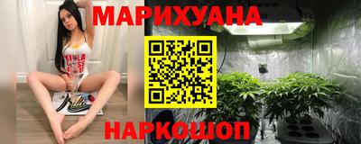 индика Нягань