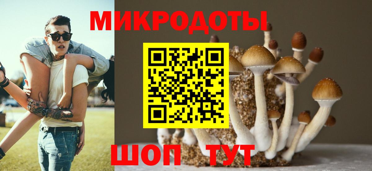 Псилоцибиновые грибы мухоморы  Псилоцибиновые грибы мухоморы  Вход с VPN  Славянск-на-Кубани 